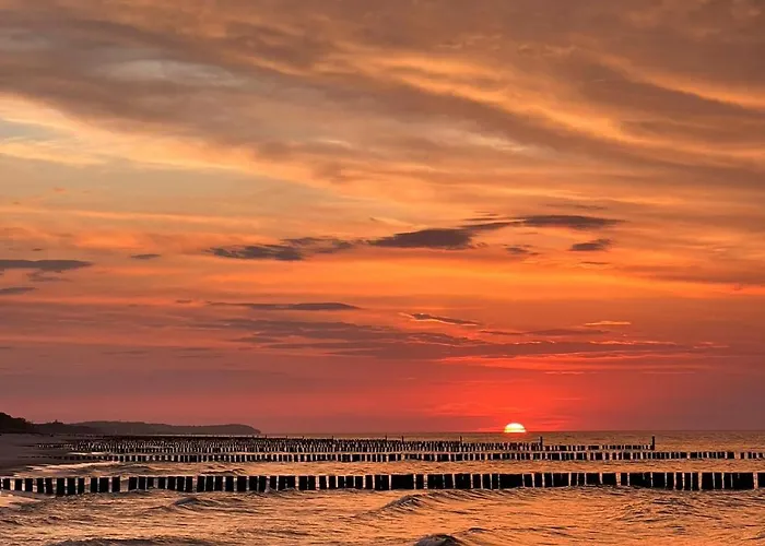 Caloroczny W Odargowie Hola Amigos Alpstuga
